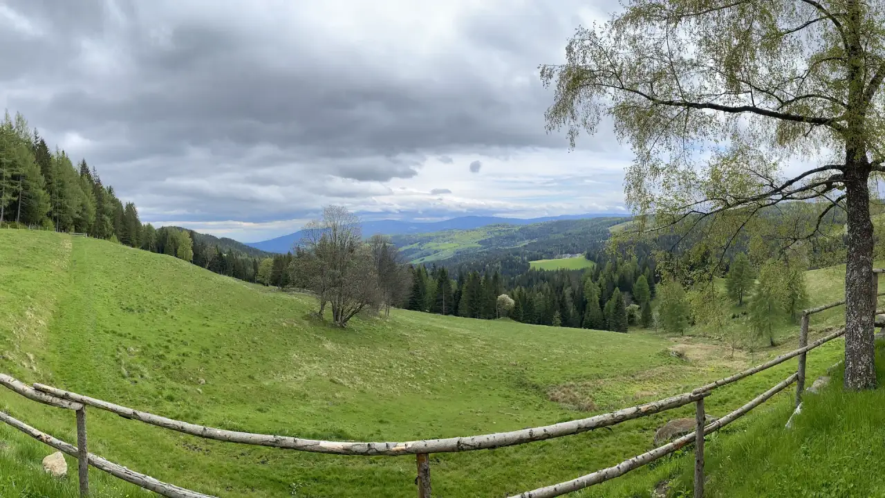 Almwiese mit Holzzaun, dahinter bewaldete Hügel bis zum Horizont